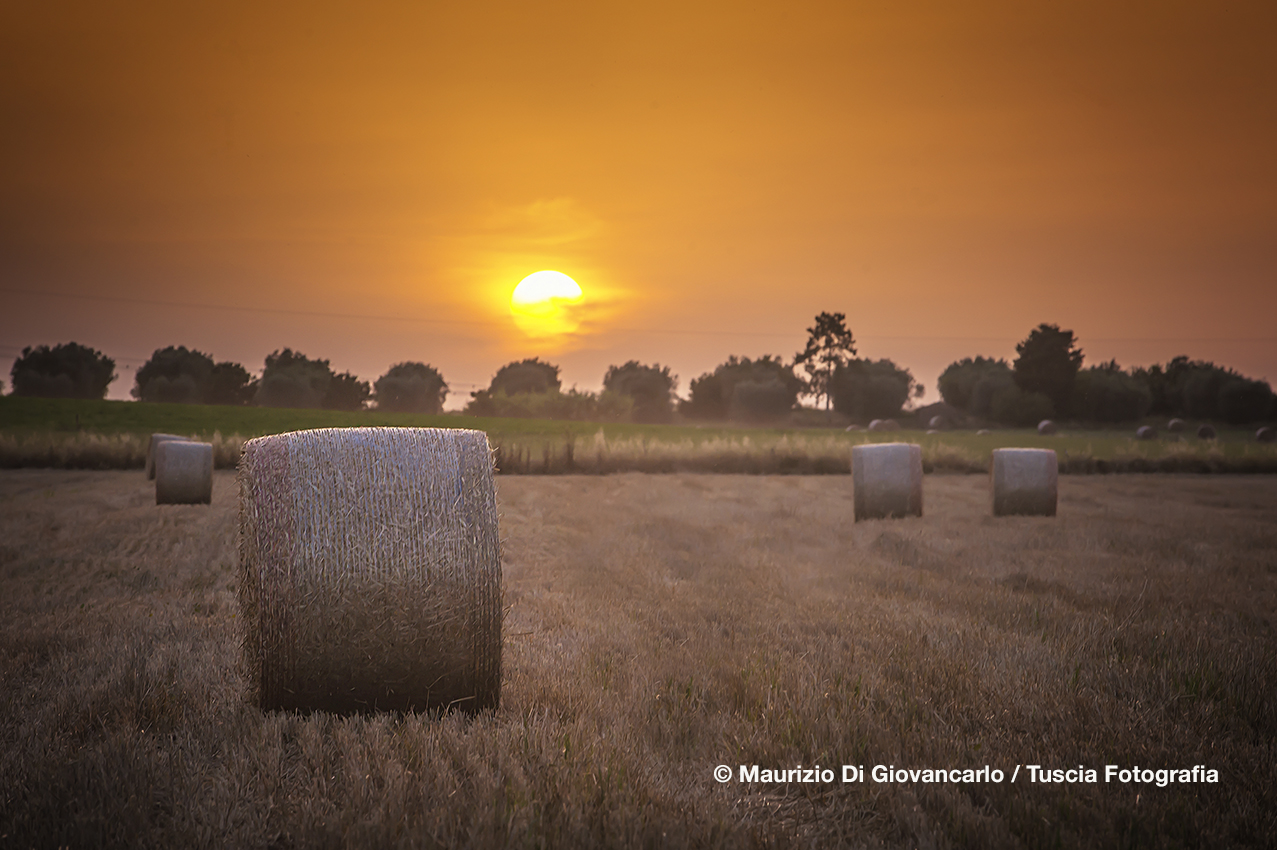 _D3H6430_2_tramonto roto balla bello