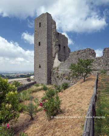 _D3H6628_rocca dei papi