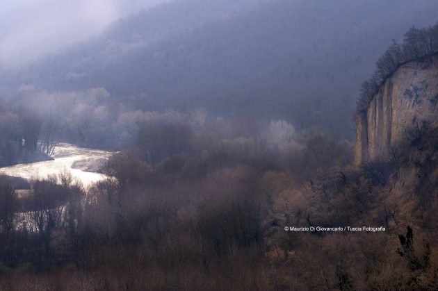 _D3H7471_tevere autunno
