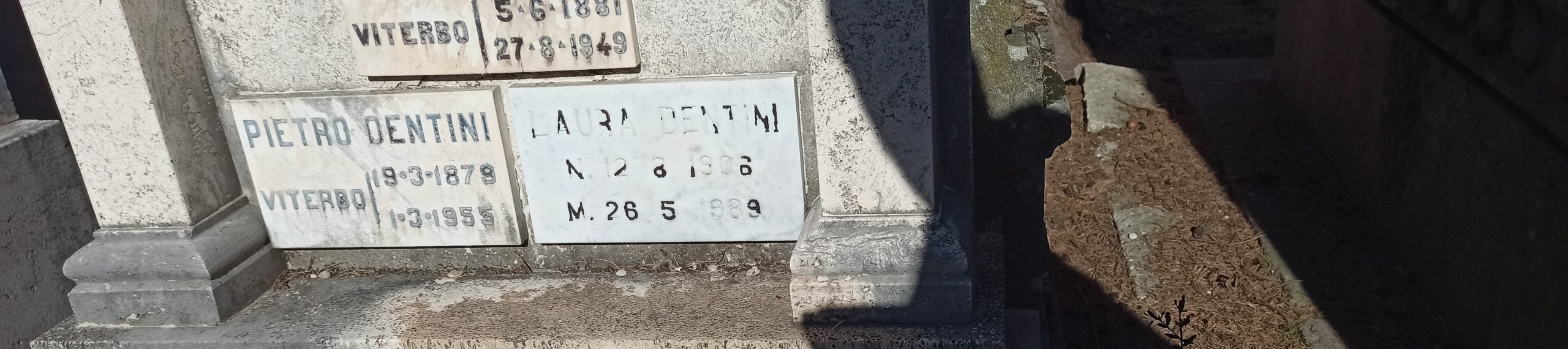 94166 (1)
