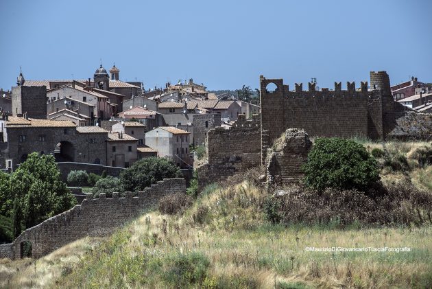 DSC_8406_panorama
