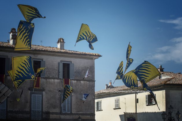 Pugnaloni 06