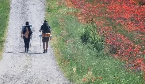 camminatori 2