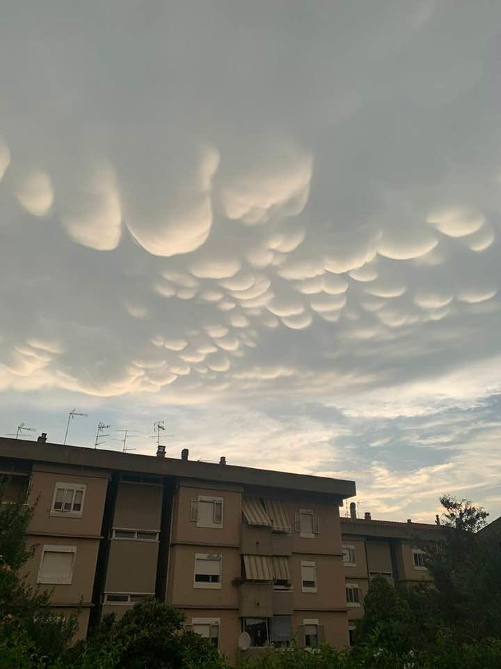 cielo mammo 01