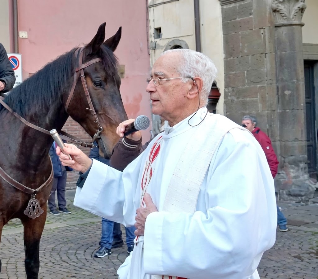 Don Ivo