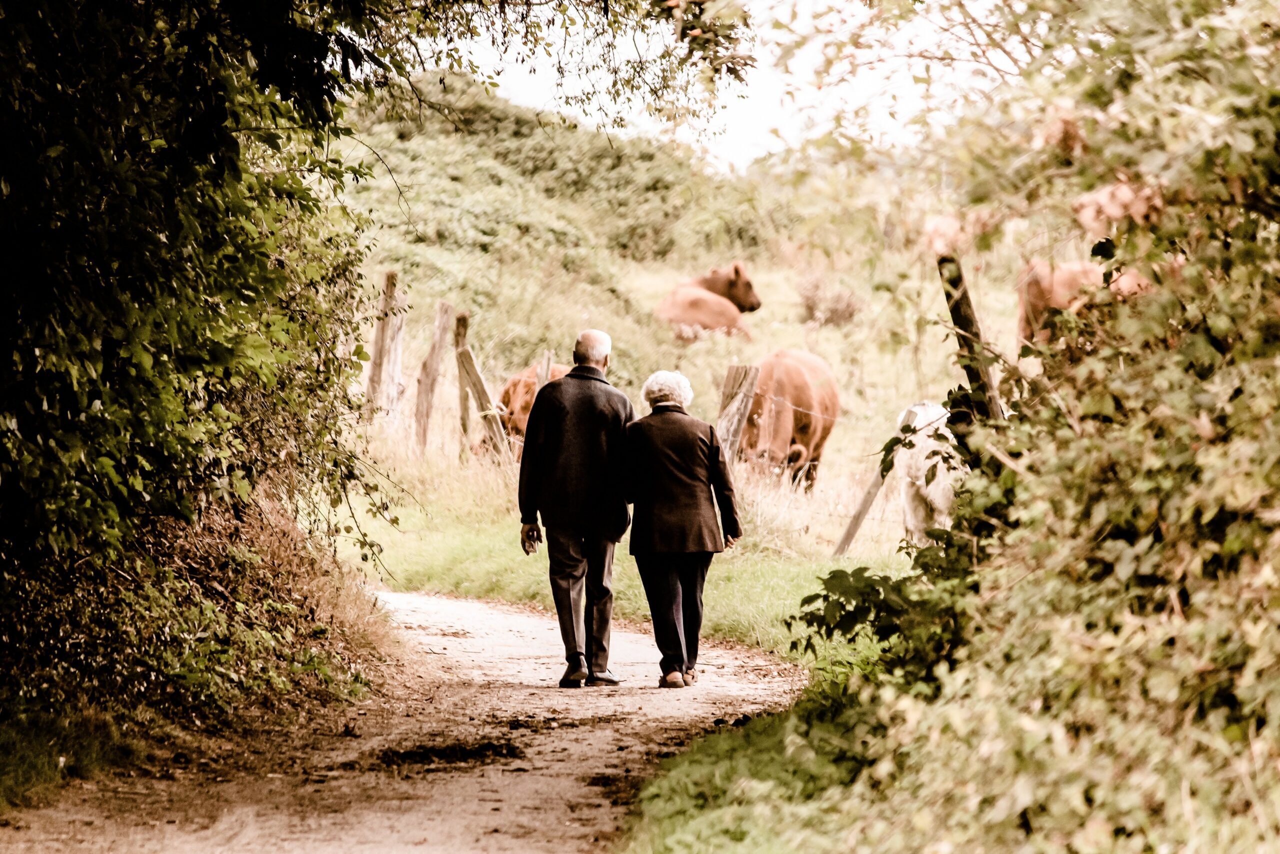 picnic-foto-elderly-2914879