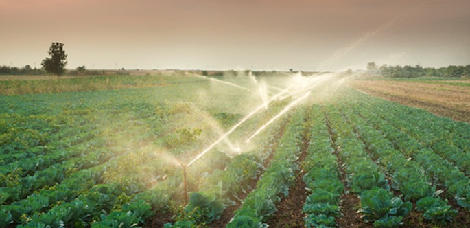 AGRICOLTURA_Irrigazione