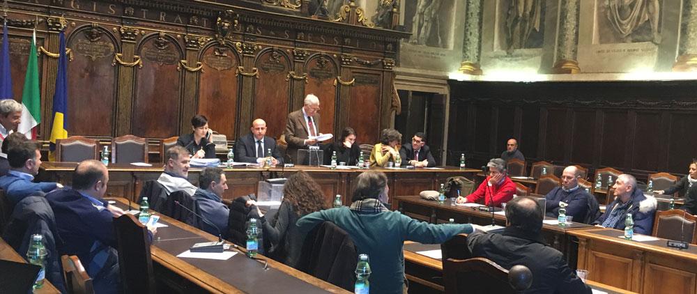 Consiglio-revisori
