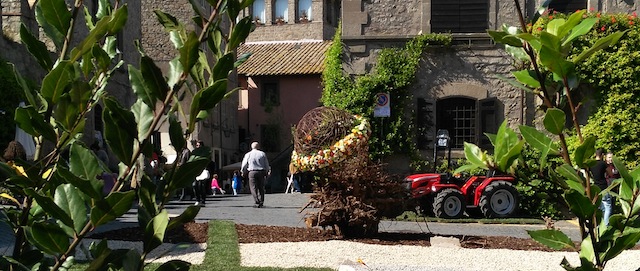IMG_20150430_160845 copia