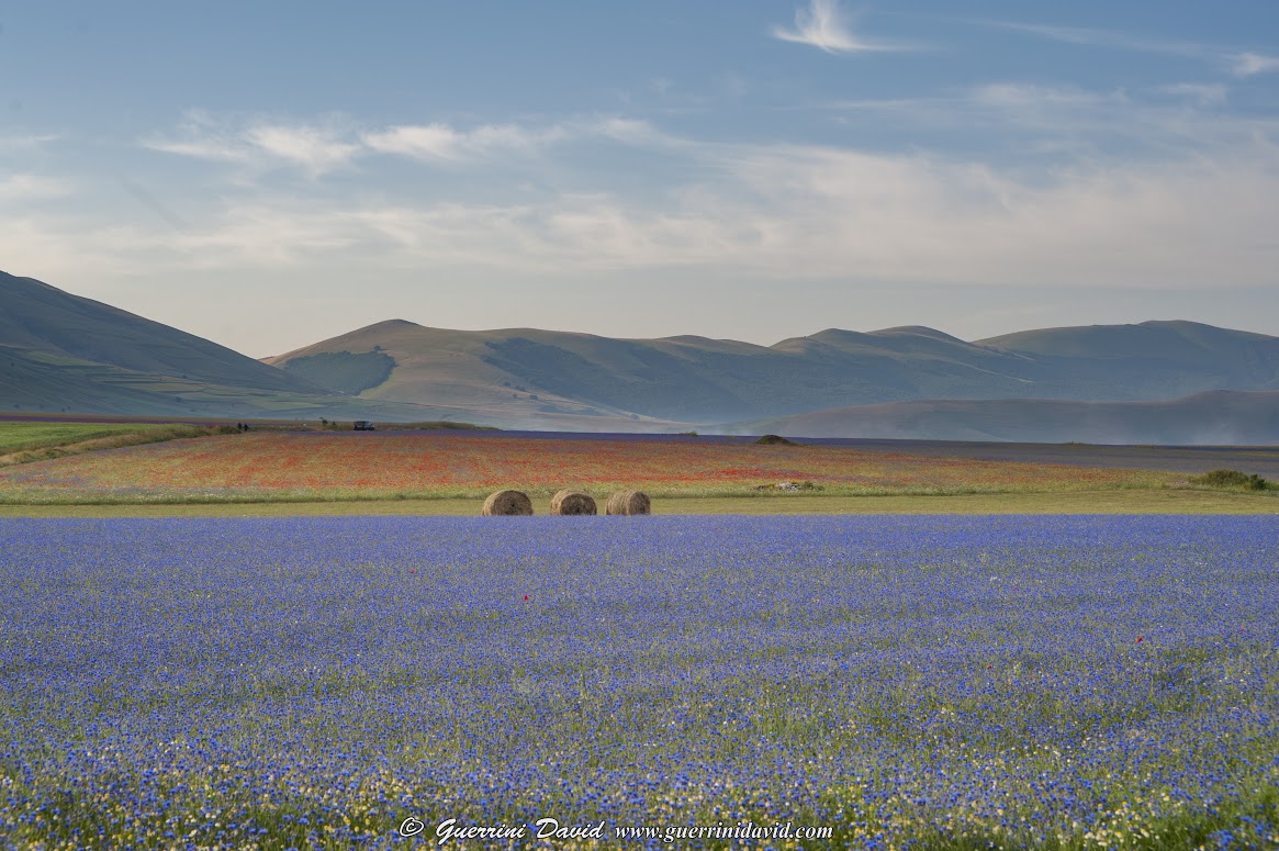 Norcia