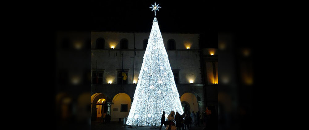albero-2012