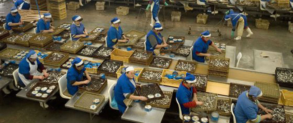 alimentare-economia-impresa