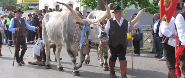 barabbata-marta-2015-festa-madonna-del-monte9