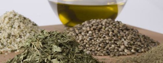 ingredienti_canapa