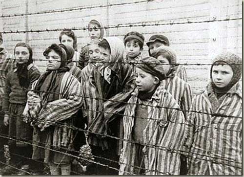 shoah 2