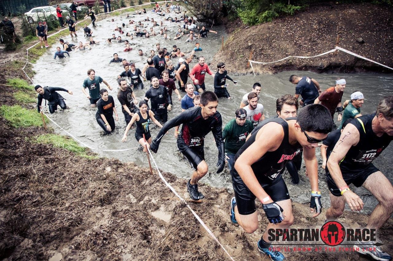 spartanrace2