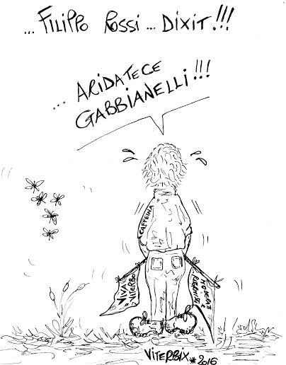 viterbix aridatece gabbianelli