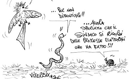viterbix speciale